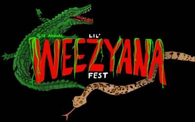 Several Injured During Stampede At Lil Weezyana Fest