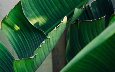 How To Find Good Spots For Nature Inspired Photo-Shoots