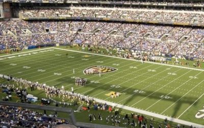 Report: NFL to Let Teams, Localities Decide Attendance Levels
