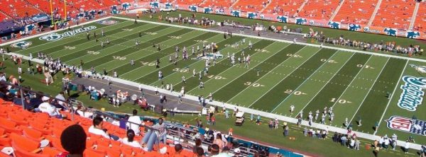 Dophins Stadium