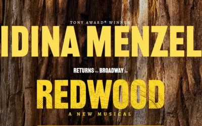 Idina Menzel Set to Return to Broadway in New Musical