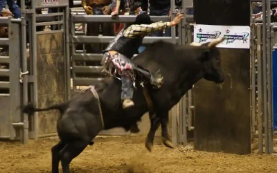 PBR – Unleash The Beast tickets on sale in New York at Madison Square Garden