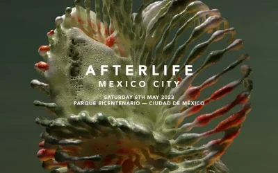 Mexico City’s Afterlife Festival Cancels 2025 Amid ‘Technical, Licensing Issues’