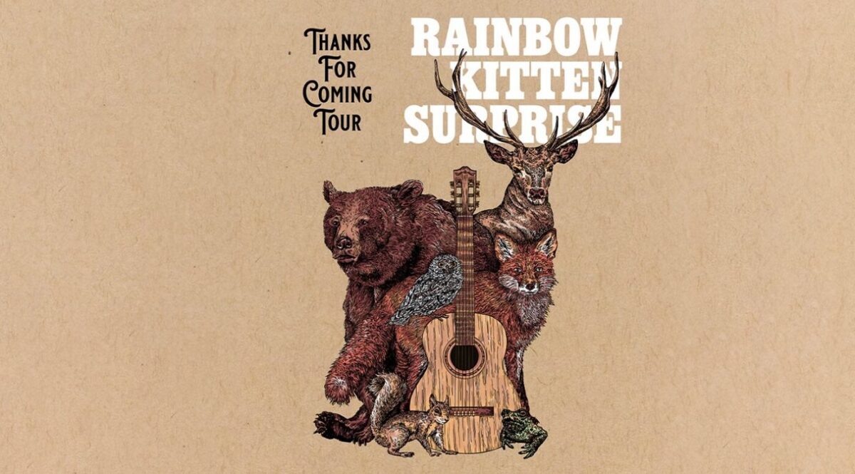 Rainbow Kitten Surprise