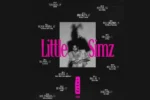 Little Simz Unveils Fall North American Tour 