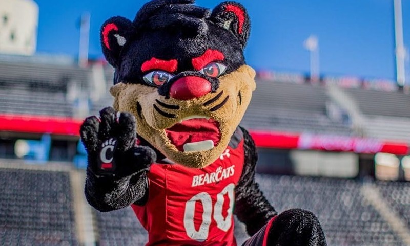 Cincinnati Bearcats mascot