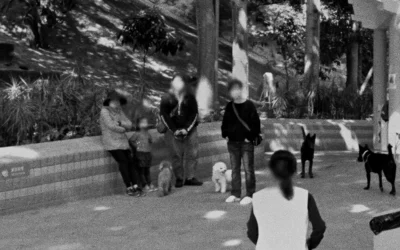 Wavelengths 1: Map of Traces tickets on sale in Toronto at TIFF Bell Lightbox