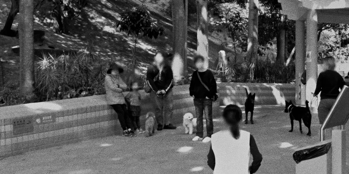 Wavelengths 1: Map of Traces, Toronto International Film Festival