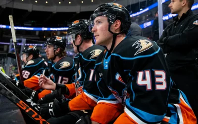 San Jose Barracuda vs. San Diego Gulls tickets on sale in San Jose at Tech CU Arena