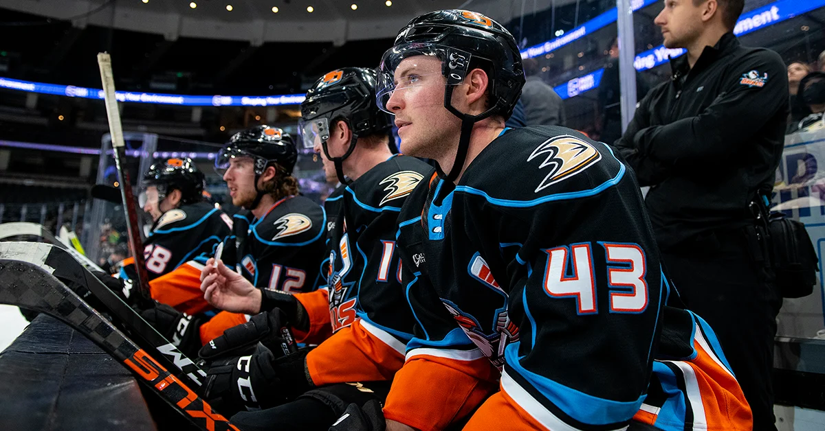 San Diego Gulls via the team's official website