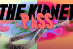 Swedish Music Festival Offering Free Passes for Those Willing to Give a Kidney