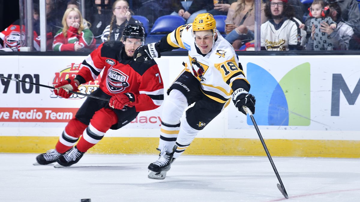 Charlotte Checkers via the team's official website