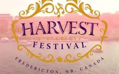 Promoter, Ticketer Bicker Over Festival Failure Reasons