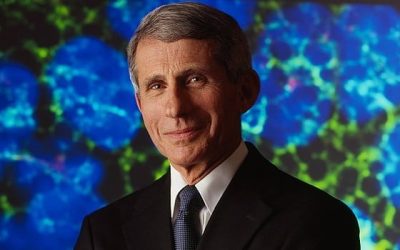 Dr. Fauci: MLB Could Play Games With Some Fans