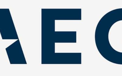 AEG Senior VP Leaves Company After 17 Years