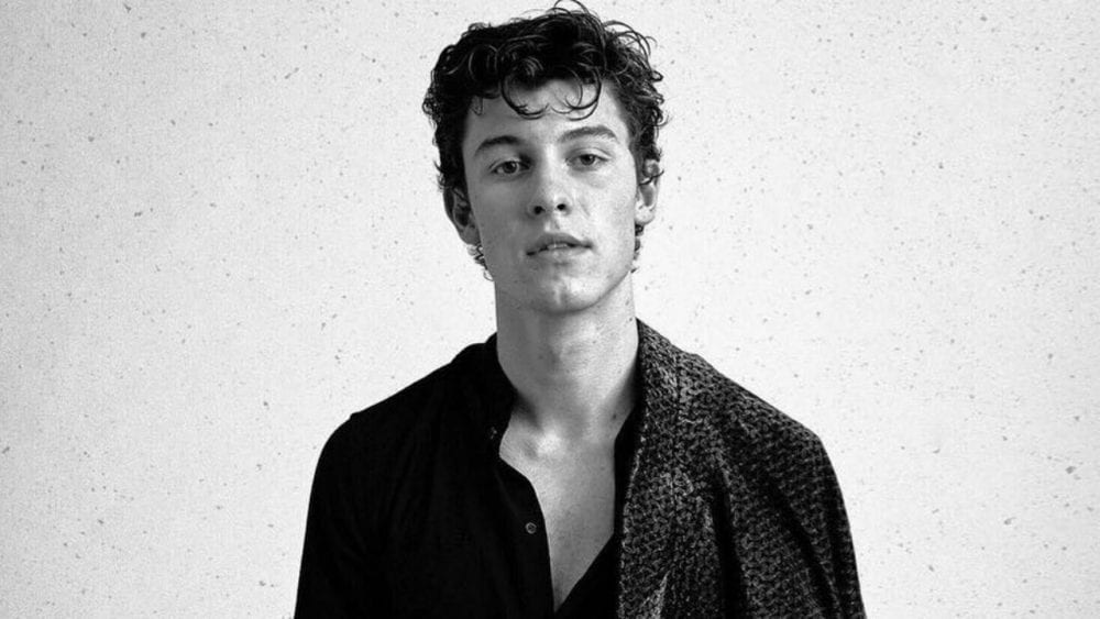 Shawn Mendes To Embark On International Arena Tour