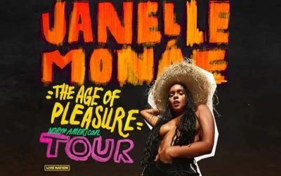 Janelle Monae Seeks To Hire Black Women, Non-Binary Photographers For Tour