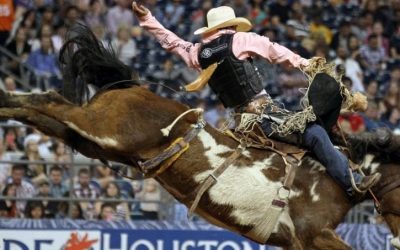RodeoHouston Ticket Prices Increase, Season Tickets Onsale