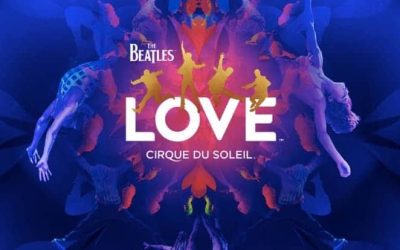 Cirque du Soleil Performance Cut Short After Acrobat’s Fall