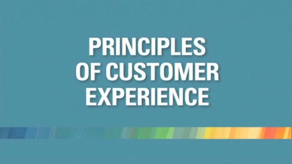 principles of customer experience