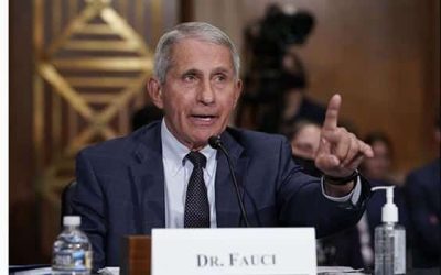 Dr. Anthony Fauci Advices Fans Use Caution Attending Stadium Events