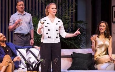 Meteor Shower with Amy Schumer Receives Mixed Reviews