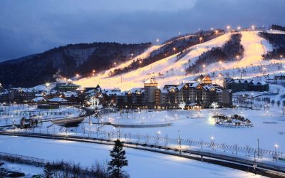 Just Over 60 Percent of Tickets Sold for 2018 PyeongChang Olympics
